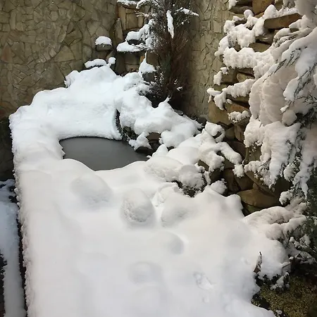 Tatil Evi Kaiser Lviv