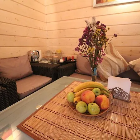 Holiday home Kaiser Lviv